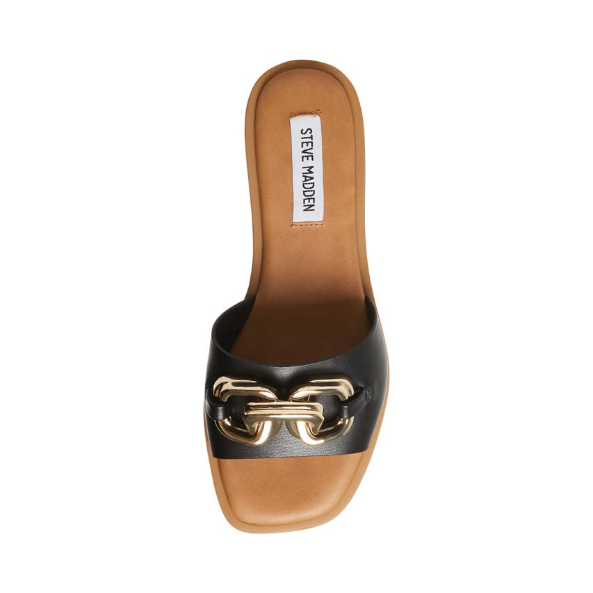 Black Steve Madden Gene Women's Slides | PH 2159WDE